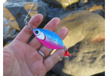 Daiwa Salmon Rocket  Abalone Glow Pink