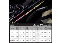 Daiwa 21  Over There AGS 1010M/MH