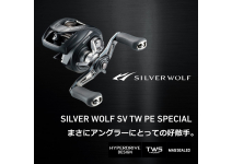 Daiwa 22 Silver Wolf SV TW 1000XHL PE SPECIAL