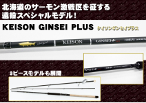 Tailwalk 21 Keison Ginsei Plus 116H