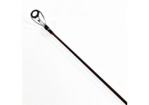 Fenwick 21 World Class Expedition WCE70SML-5J