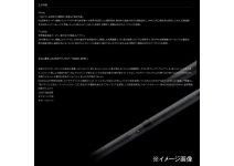 APIA Voyager EX IV SILVER SCALE S73ML