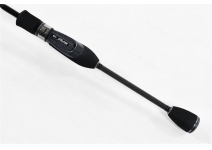 TICT SRAM EXR-77S-Sis