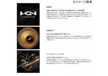 Shimano 25 Exsence C3000MHG