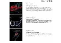 Shimano 25 Exsence C3000MHG
