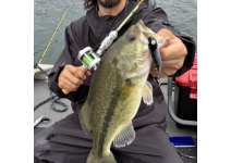 Abu Garcia 25 Zoom SueciaZSUC-53L