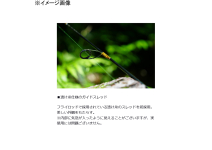 Daiwa 24 Silver Creek Trad 46ULB