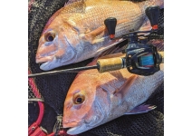 Okuma Multi Striker V MSV-101A