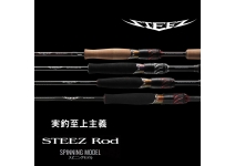 Daiwa 24 Steez SC S64L-2 SV ST FIRE FLASH