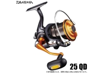 Daiwa 19 Castizm 25 QD