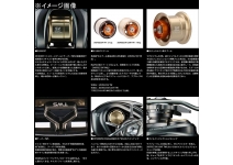 Daiwa 26 Steez SV Light TW 100XXHL