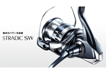 Shimano 20 Stradic SW 6000XG