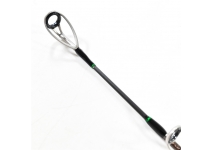 Deps Genoma HGT2-66S