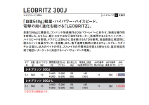 Daiwa  23 Leobritz 300J-L