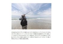 Shimano 24 Nessa  SS S104M