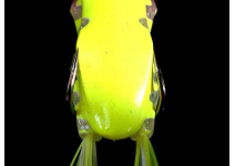Jackall Kaera Clear Glitter Chart drip Frog