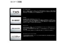 Daiwa 25 Tatula SV TW 100HL