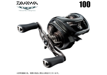 Daiwa 24 Steez SV TW 100