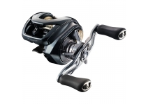 Daiwa 26 Steez SV Light TW 100XXHL