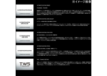 Daiwa 26 Steez SV Light TW 100XXHL