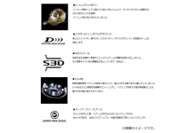 Shimano 26 Calcutta Conquest DC200HG RIGHT