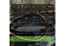 Abu Garcia CONOLON CNLS-535L