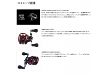 Daiwa 23 Admira 100XH