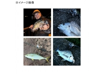 Xesta 25  Black Star S63UL-S Urban Counter