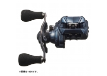 Daiwa 24 TIERRA AIR IC 100XHL