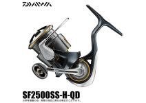 Daiwa 24 Airity SF2500SS-H-QD