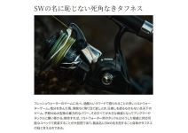 Shimano 24 Stradic SW 6000XG