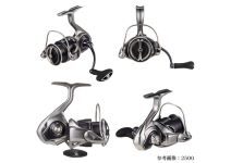 Daiwa 25 Caldia LT2500