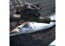Okuma Multi Striker V MSV-101A